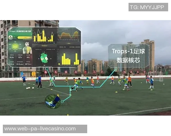 全面解析全球足球联赛数据及其对球队表现的影响与趋势分析